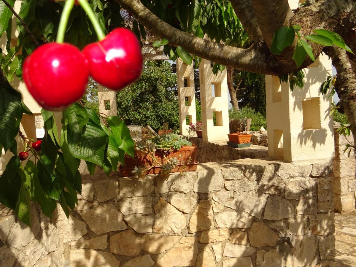 로코로톤도 Trulli Di Zia Tata 게스트하우스 외부 사진